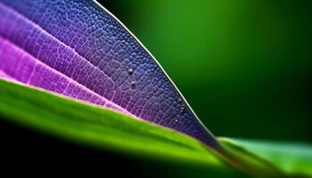 vibrant violet fleur dans humide forêt reflète beauté de la nature généré par ai photo