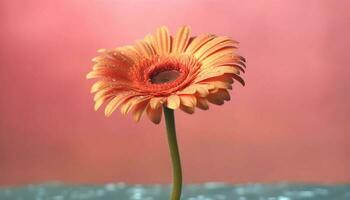 vibrant gerbera Marguerite fleurir, une cadeau de l'amour et beauté généré par ai photo
