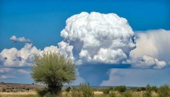 tranquille Prairie avec brillant bleu ciel et duveteux des nuages généré par ai photo