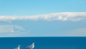 mouette en volant plus de tranquille littoral, reflétant dans clair bleu l'eau généré par ai photo