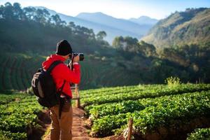 photographe prend des photos dans un champ de fraises