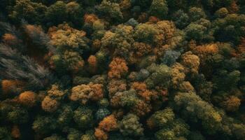 l'automne paysage, multi coloré feuilles, beauté dans la nature généré par ai photo