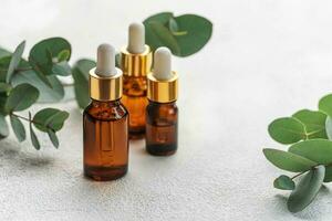 massage et spa huiles avec eucalyptus photo