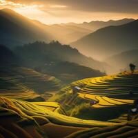 lumière du soleil à crépuscule riz ferme paysage. génératif ai photo