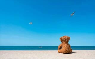 arrière vue solitaire nounours ours poupée séance seul par le plage avec bleu mer et ciel background.rae vue marron ours jouet séance seul en train de regarder à océan avec floue des oiseaux en volant sur ciel.solitude concept photo
