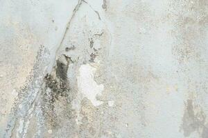 vieux blanc sale mur texture Contexte. moule sur blanc, champignon sur blanc Contexte. photo