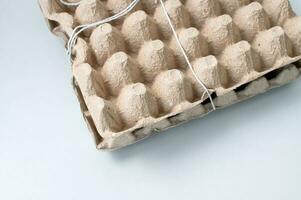 recyclage plateau pour poulet des œufs avec vide cellules lié avec une fil photo