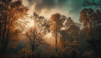 mystérieux l'automne forêt, tranquille aube, vibrant couleurs généré par ai photo