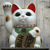 Maneki Neko aussi sait comme chanceux chat photo