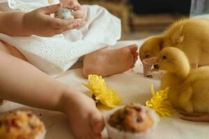une peu fille est séance sur le Pâques table et en jouant avec mignonne duveteux canetons. le concept de célébrer content Pâques. photo