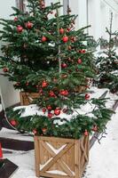 Noël des arbres décoré avec rouge des ballons dans de face de le entrée à le café. rue Noël décorations photo
