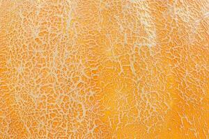 Orange citrouille peau macro. abstrait Halloween texture Contexte photo