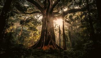 tranquille scène de ancien banian arbre croissance généré par ai photo