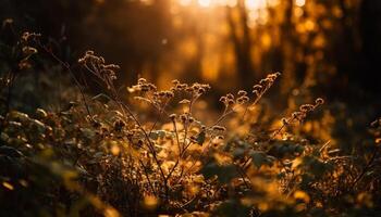 silhouette de fleurs sauvages dans octobre le coucher du soleil Prairie généré par ai photo