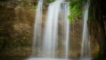 calme forêt cascade photo