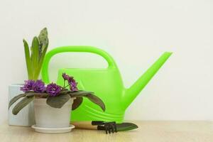 fleur dans pot, arrosage pouvez et outils pour repiquage les plantes sur le table photo