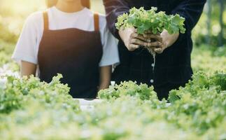 agriculteur plantation vérification qualité par tablette agriculture moderne La technologie concept. intelligent agriculture, en utilisant moderne les technologies dans agriculture. homme agronome agriculteur avec numérique tablette ordinateur. photo