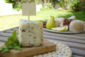 italien de brebis fromage -pecorino avec roquette feuilles photo