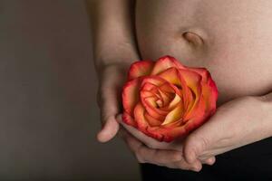 Jeune Enceinte femme garde Naturel Rose fleur proche à sa ventre. photo