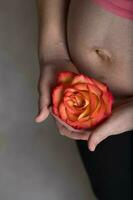 Jeune Enceinte femme garde Naturel Rose fleur proche à sa ventre. photo