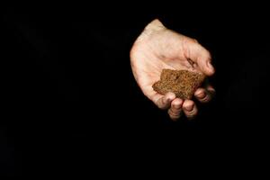 paume de une paysan femme avec seigle pain sur une noir tissu. , paume de une paysan femme avec avoine céréales sur une noir tissu. photo