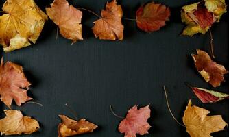 séché érable feuilles sur une noir tableau noir. photo