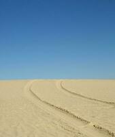 pneu des pistes sur une le sable surface photo