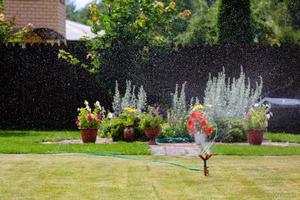 arroseur de jardin arrosage de l'herbe et des fleurs photo