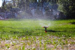 arrosage de l'herbe d'arrosage de jardin photo