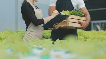 Jeune asiatique femme et Sénior homme agriculteur travail ensemble dans biologique hydroponique salade légume cultiver. moderne légume jardin propriétaire en utilisant numérique tablette inspecter qualité de salade dans serre jardin. photo