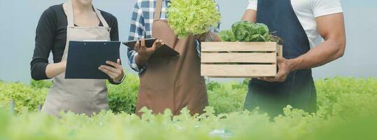 Jeune asiatique femme et Sénior homme agriculteur travail ensemble dans biologique hydroponique salade légume cultiver. moderne légume jardin propriétaire en utilisant numérique tablette inspecter qualité de salade dans serre jardin. photo