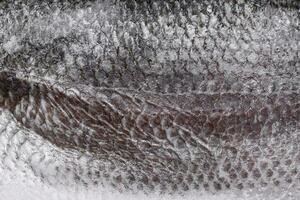 brut mer basse poisson filet avec sel, épices et herbes sur une céramique assiette photo