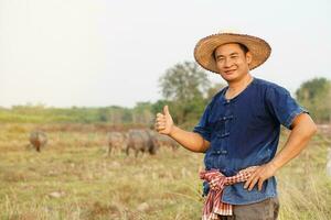 Beau asiatique homme agriculteur porte chapeau, bleu chemise, les pouces en haut à animal cultiver. concept, bétail, thaïlandais Les agriculteurs élever et prendre se soucier buffles comme économique et exportation animaux. photo