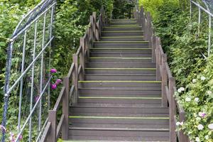 passerelle dans le parc photo