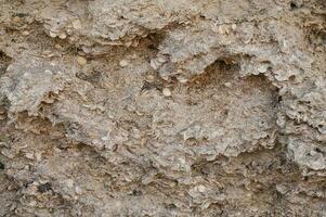 une instantané de le texture de sédimentaire calcaire Roche dans une Roche fente photo