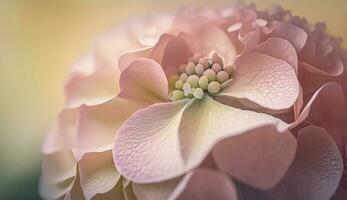 proche en haut de Frais rose fleurs dans la nature généré par ai photo