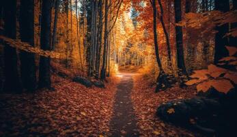 l'automne forêt arbre chemin, Jaune feuilles en plein air ,génératif ai photo