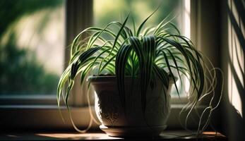 vert feuillage dans vase sur en bois table ,génératif ai photo