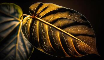 vibrant feuille veines dans proche en haut contre noir toile de fond généré par ai photo