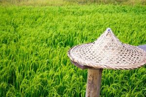 chapeau de paille dans un champ de blé photo