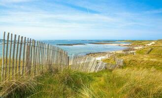 littoral en dessous de une clair ciel photo