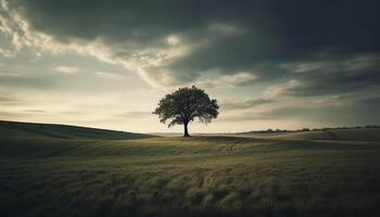 solitude dans la nature tranquille lever du soleil plus de blé prairie, rétro-éclairé horizon généré par ai photo