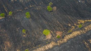 Vue aérienne sur le champ de riz en feu après la récolte photo