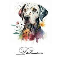 aquarelle illustration de une Célibataire chien race dalmatien avec fleurs. ai généré. chien portrait. photo