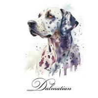 aquarelle illustration de une Célibataire chien race dalmatien. ai généré. chien portrait. photo