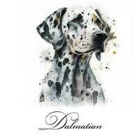 aquarelle illustration de une Célibataire chien race dalmatien. ai généré. chien portrait. photo