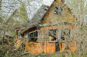 une ruiné en bois maison entre le des buissons photo