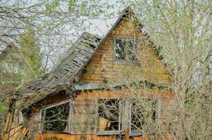 une ruiné en bois maison entre le des buissons photo