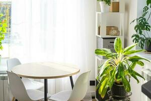 le intérieur de le maison avec grand les fenêtres et Accueil les plantes rond tableau, chaises, blanc grenier. plante d'appartement soins pour intérieur usine, vert Accueil photo