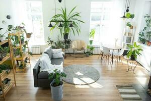 rayonnage avec une groupe de intérieur les plantes dans le intérieur pièce blanc grenier, gris canapé, confortable plaid, tapis. plante d'appartement croissance et soins pour intérieur usine, vert Accueil photo